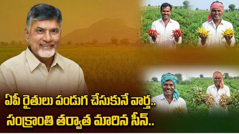 Andhra Pradesh farmers chilli groundnut prices