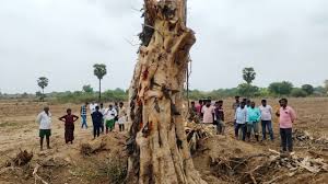 Prakasam District Viral News 2026